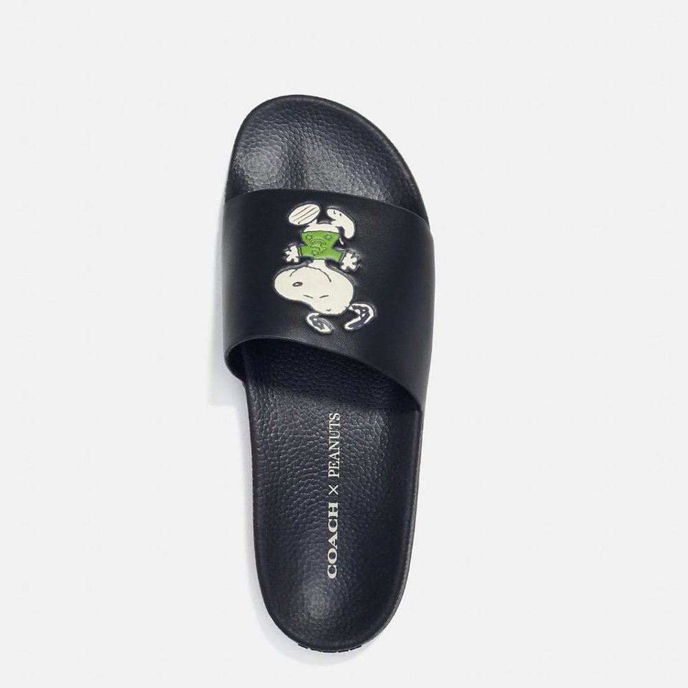 🐶 Coach X Peanuts Slide With Snoopy 12 - Picture 4 of 12
